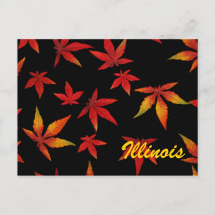 Tarjeta Postal de Hojas de Otoño de Illinois