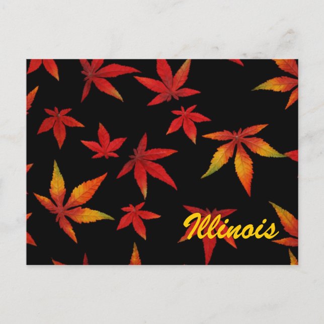 Tarjeta Postal de Hojas de Otoño de Illinois (Anverso)