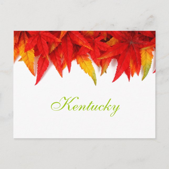 Tarjeta postal de hojas de otoño de Kentucky (Anverso)