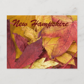 Tarjeta postal de hojas de otoño de New Hampshire