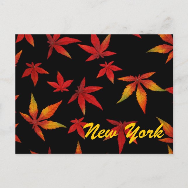 Tarjeta postal de hojas de otoño de Nueva York (Anverso)