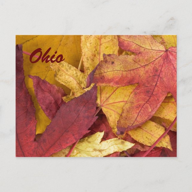 Tarjeta Postal de Hojas de Otoño de Ohio (Anverso)