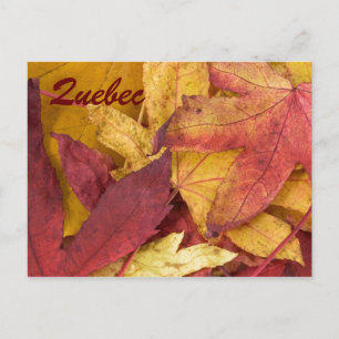 Tarjeta Postal de Hojas de Otoño de Quebec
