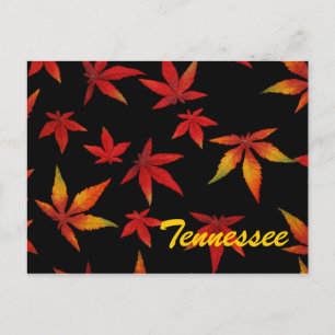 Tarjeta Postal de Hojas de Otoño de Tennessee