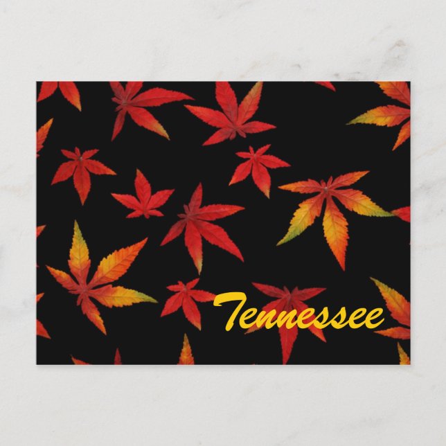 Tarjeta Postal de Hojas de Otoño de Tennessee (Anverso)