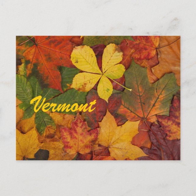 Tarjeta Postal de Hojas de Otoño de Vermont (Anverso)