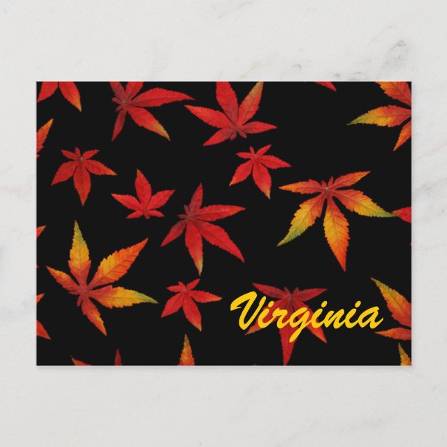 Tarjeta Postal de Hojas de Otoño de Virginia (Anverso)