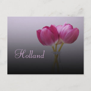 Tarjeta postal de Holanda, Tulipanes de Primavera