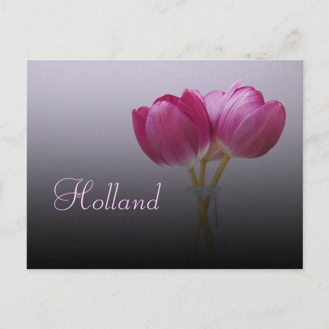 Tarjeta postal de Holanda, Tulipanes de Primavera (Anverso)