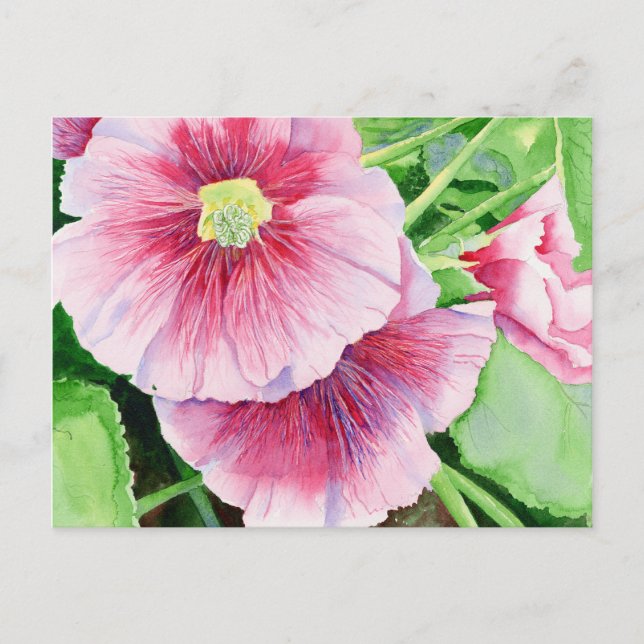 Tarjeta postal de Hollyhocks rosa (Anverso)
