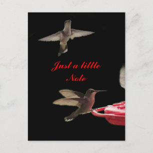 Tarjeta postal de Hummingbirds #ct98721- personali