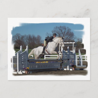 Tarjeta postal de Hunter Jumper