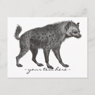 Tarjeta postal de Hyena localizada