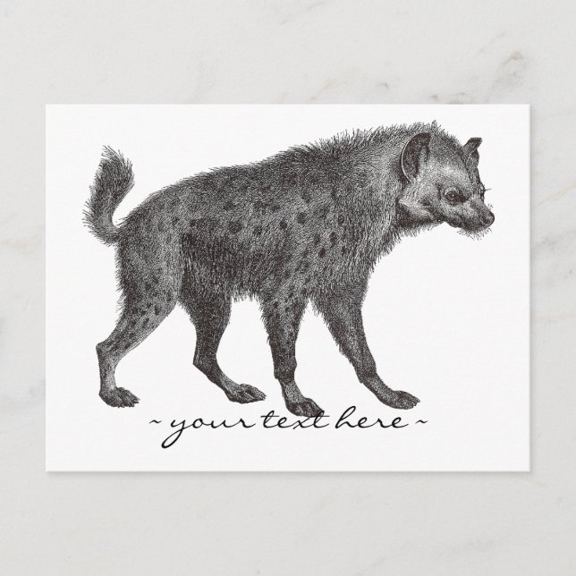Tarjeta postal de Hyena localizada (Anverso)