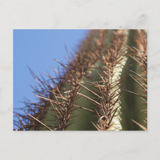 Tarjeta postal de IDKP Thorny cactus