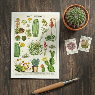 Tarjeta postal de ilustración botánica de cactus s