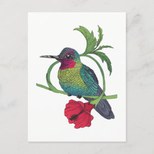 Tarjeta postal de Ilustracion de aves de Colibri