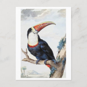 Tarjeta postal de Ilustracion de época táctil de f