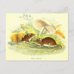 Tarjeta postal de Ilustracion de ratón de madera v