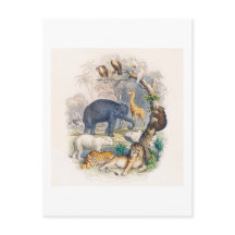 TARJETA POSTAL DE ILUSTRACION DEL REINO ANIMAL DE