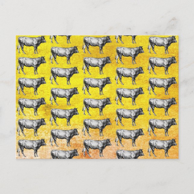 Tarjeta postal de imagen de toro de vaca de granja (Anverso)