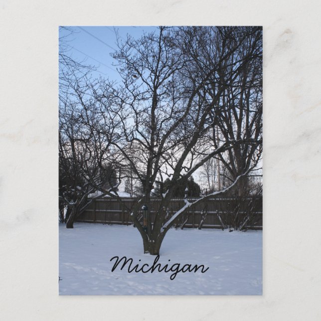 Tarjeta postal de invierno de Michigan (Anverso)