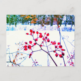 TARJETA POSTAL DE INVIERNO DE RED BERRIES