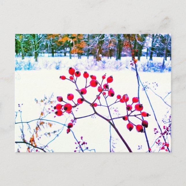 TARJETA POSTAL DE INVIERNO DE RED BERRIES (Anverso)