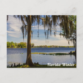 Tarjeta postal de invierno en Florida