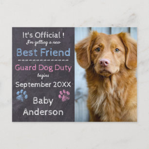 Tarjeta postal de Invitación de embarazo de perro