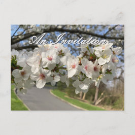 Tarjeta postal de invitación de flores de mayo