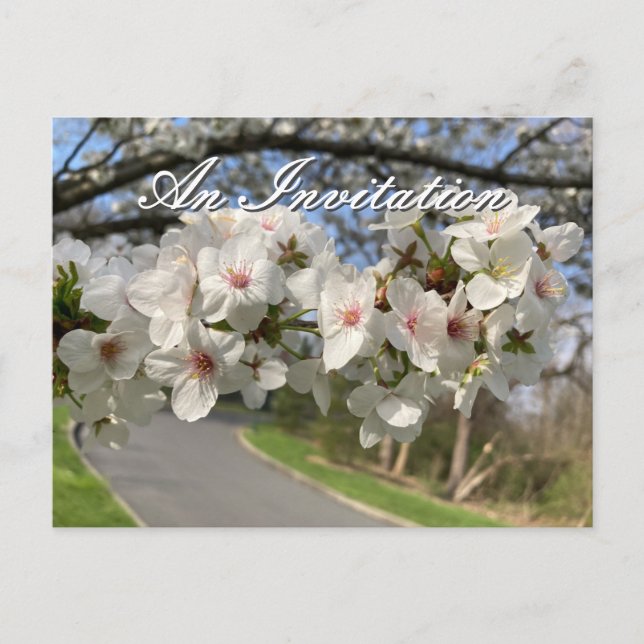 Tarjeta postal de invitación de flores de mayo (Anverso)