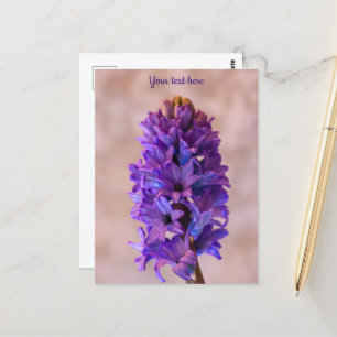 Tarjeta postal de jacinto azul