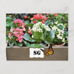 Tarjeta postal de jardín de flores en contenedor c