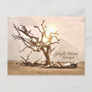 Tarjeta postal de Jekyll Island Georgia