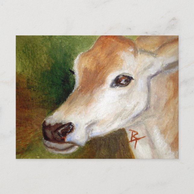 Tarjeta postal de Jersey Cow (Anverso)