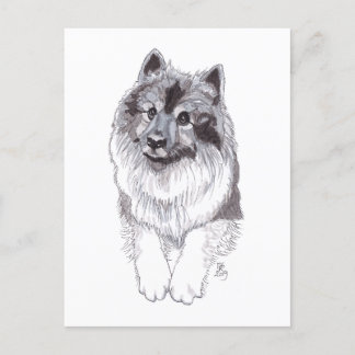 Tarjeta postal de Keeshond de Doggust 2019