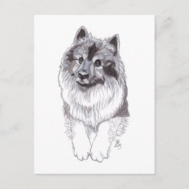 Tarjeta postal de Keeshond de Doggust 2019 (Anverso)