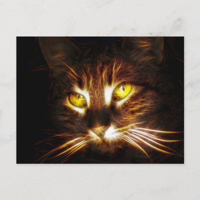 Tarjeta postal de Kitty Cat (Anverso)