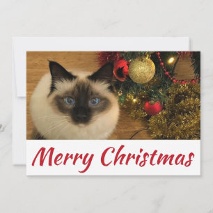 Tarjeta postal de Kitty para Navidad