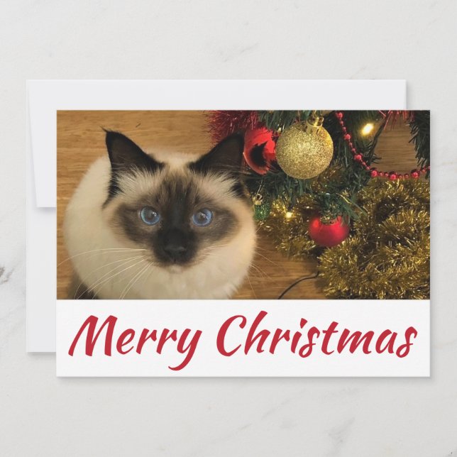 Tarjeta postal de Kitty para Navidad (Anverso)