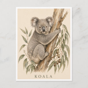 Tarjeta postal de koala Edición Bush