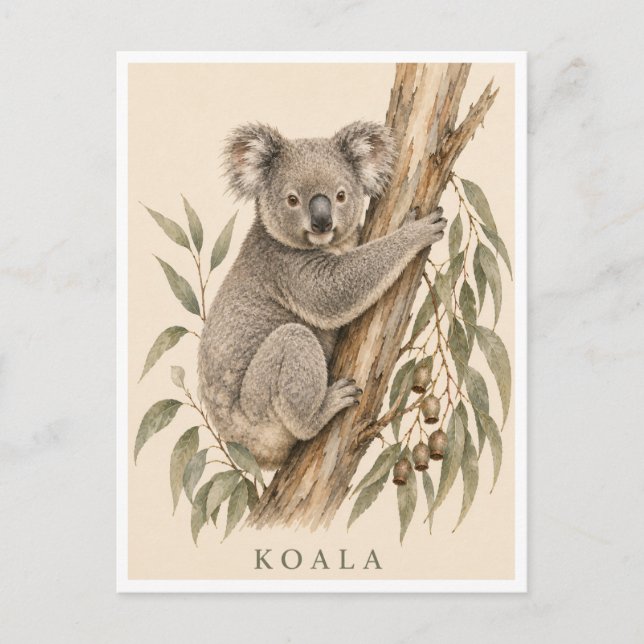 Tarjeta postal de koala | Edición Bush (Anverso)