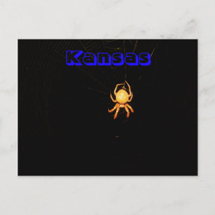 Tarjeta postal de la araña tejedora orbicular de K