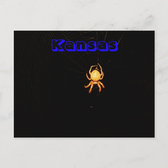 Tarjeta postal de la araña tejedora orbicular de K (Anverso)