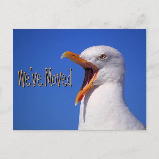 Tarjeta Postal de la Broma de la Gaviota Divertida (Anverso)