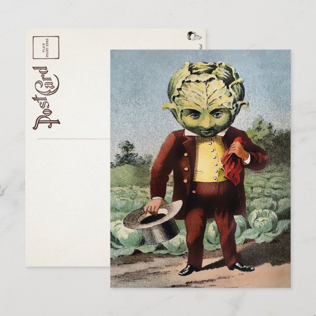Tarjeta postal de la cabeza de col victoriana (Anverso / Reverso)