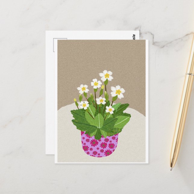 Tarjeta postal de la categoría Primrose (Anverso/Reverso In Situ)
