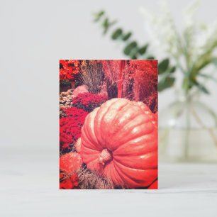 Tarjeta Postal de la Cosecha de Otoño