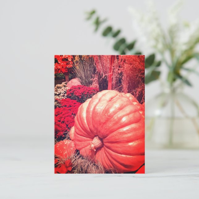 Tarjeta Postal de la Cosecha de Otoño (Anverso de pie)
